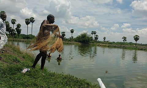 Inland aquafarming in TN