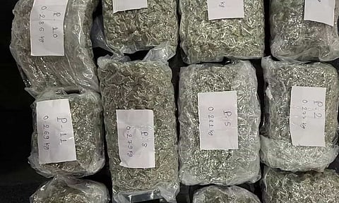 Hydroponic ganja worth Rs 7 cr seized at Coimbatore airport (Maalaimalar)