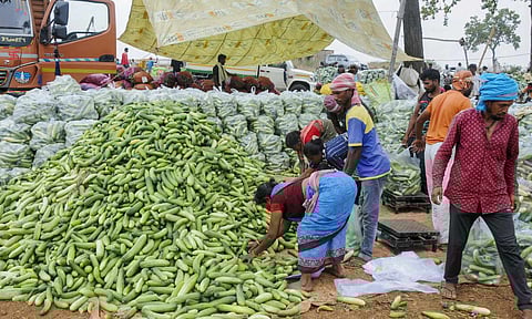 Prices of several vegetables have declined with the arrival of the pre-monsoon season in Jharkhand (PTI)&nbsp;