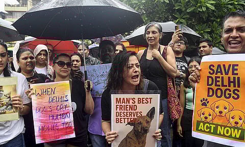 TV actor Mona Vasu, front center, and activists of various animal rights organisations protest against the recent order by the Supreme Court to authorities in Delhi-National Capital Region (NCR) to start picking up stray dogs from all localities "at the earliest" and relocate the animals to dog shelters, in Mumbai, Thursday, Aug. 14, 2025 (PTI)&nbsp;