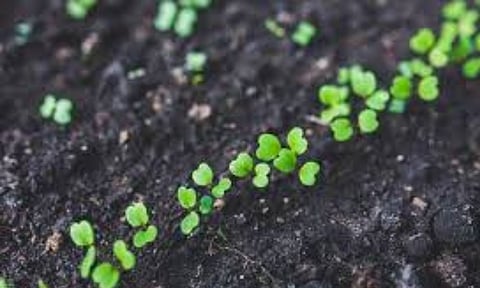 Representative Image&nbsp;