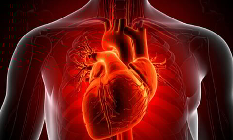 Representative Image (IANS)