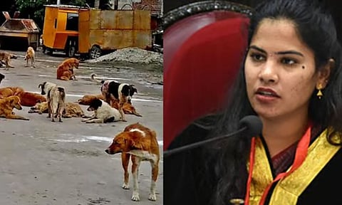 Representative Image; Mayor Priya&nbsp;