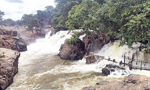The flooded Hogenakkal Falls on Sunday.