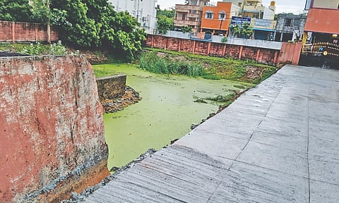 Pond without retaining wall adjacent to Subha Chandra Bose Street in Semmencheri