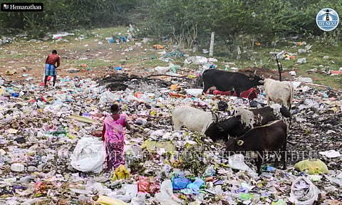 Chennai’s rag pickers to get alternative livelihood as door-to-door waste collectors