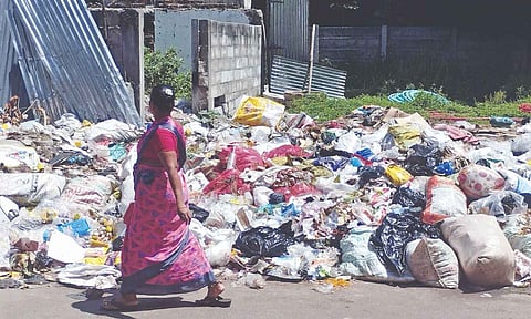 Wet waste and plastic waste lie scattered on vacant land at Ramanuja Iyer Street in Old Washermenpet

&nbsp;