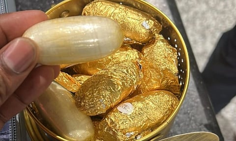 DRI seizes cocaine worth Rs 20 crore at Chennai airport