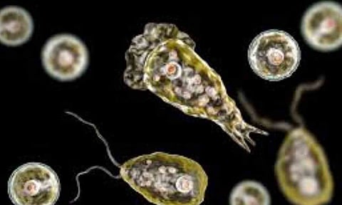 Representative Image&nbsp;