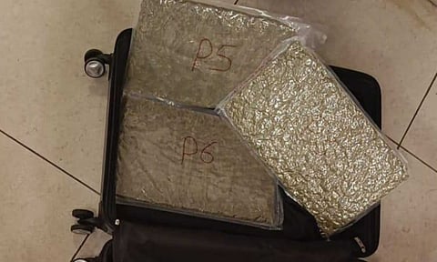 Air customs seize ganja worth Rs 12 crore at Chennai Airport, two flyers arrested