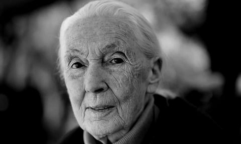 English primatologist and anthropologist Jane Goodall poses for a photograph at the Annual Meeting of World Economic Forum in Davos, Switzerland, Jan. 19, 2024. (AP)&nbsp;