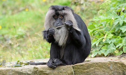 Representative image (Pixabay)