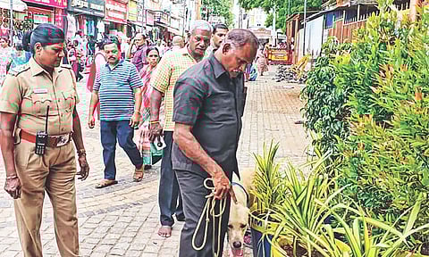 Bomb disposal squal checking temple premises on Saturday