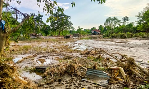 North Bengal landslides (IANS)