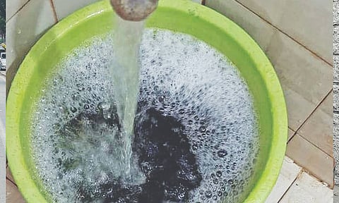 Chennai: Contaminated water, stray dogs disrupt life in Arumbakkam