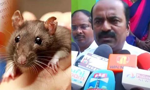 Students recovering; college campus being monitored: Tirunelveli District Collector on rat fever outbreak