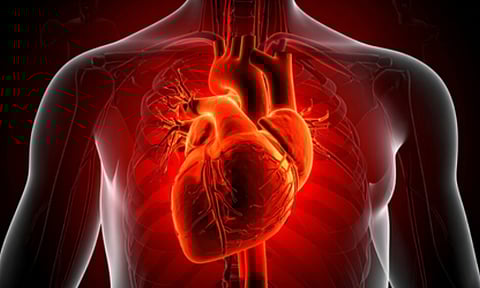 Representative Image (IANS)