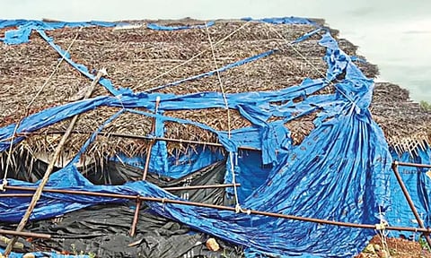 Adichanallur archaeological site (Daily Thanthi)&nbsp;