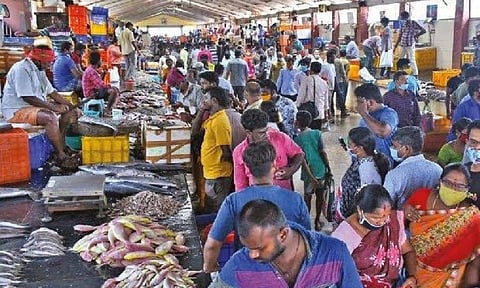 Kasimedu fish market