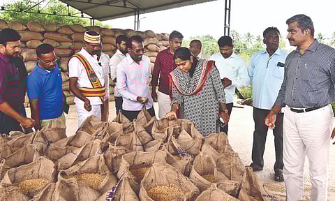 Thanjavur district Collector B Priyanka Pankajam inspects the procurement process at a DPC in Marungulam