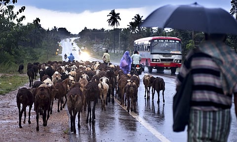 Representative image (PTI)&nbsp;