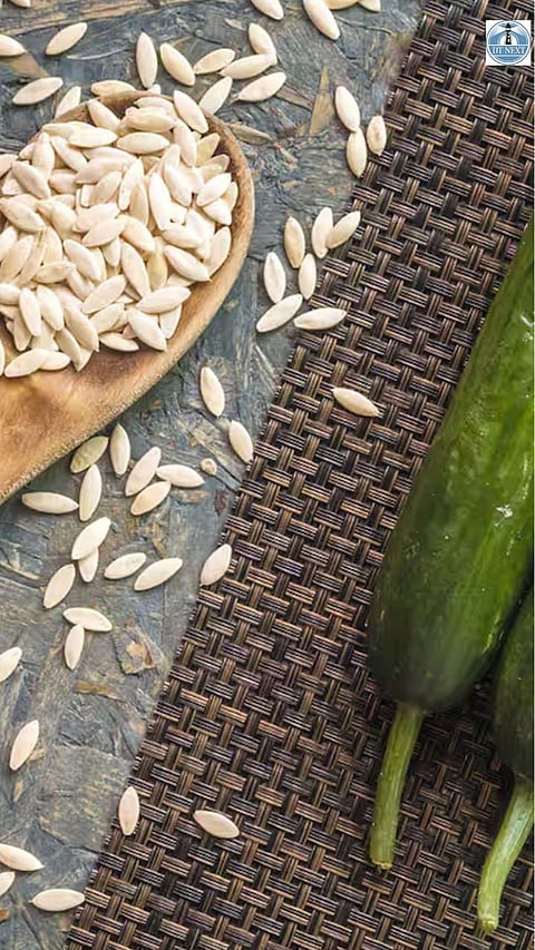 Cucumber seeds pack powerful health benefits!