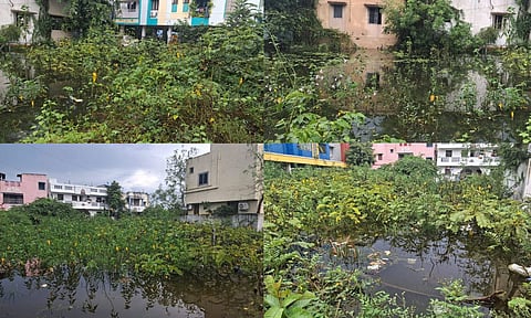 Visual from the site&nbsp;