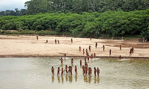 Silent genocides: Uncontacted tribes on brink of extinction, warns report