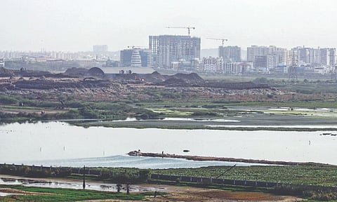 Pallikaranai Ramsar wetland