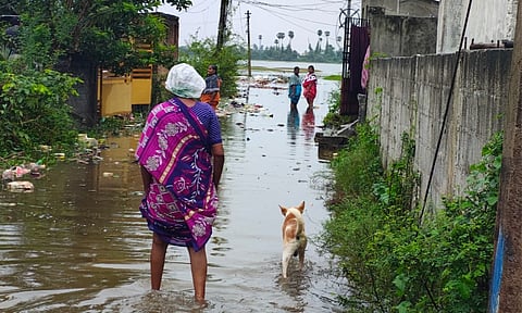 Residents wading through waterlogged streets in Nathamedu