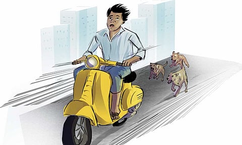 Illustration: Jancy Rani