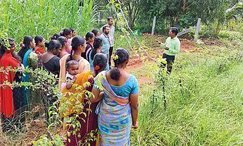 Youth at a session of the Dairy Farm Assistant training programme conducted under the Naan Mudhalvan scheme