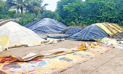 Paddy covered to avoid damage due to rains (file)