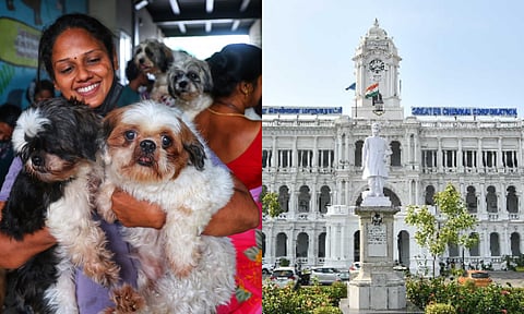 GCC extends deadline for pet microchipping ( [L] Photo/Justin George)