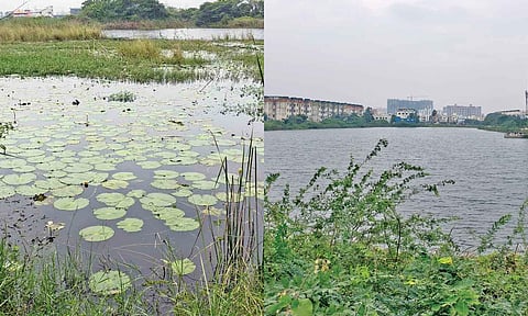 Valvetty Thangal in Thazhambur and Puducheri Eri in Chemancheri — both waterbodies located in Shollinganallur zone