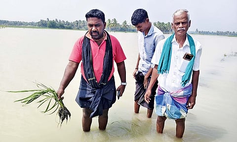 An inundated field in Thanjavur after breach in Vedapuri canal