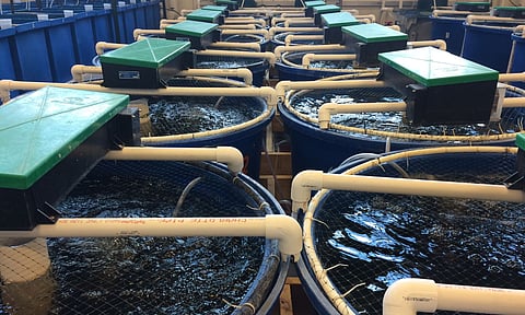 Representative Image&nbsp;