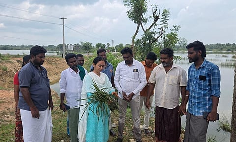 Agriculture and revenue officials assessing crop damage in Thanjavur on Wednesday