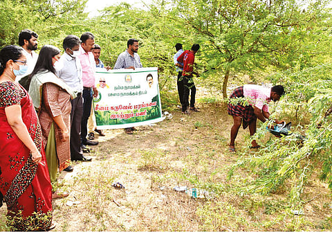 Collector Shreya P Singh inspecting removal of ?seemai karuvelam? trees in Namakkal on Friday.