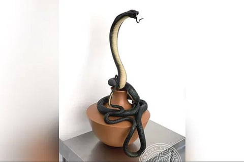 King Cobra made out of chocolate: This Pastry maker shocks netizens