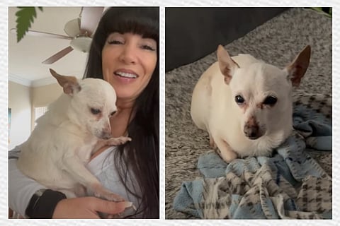 Screengrab from the video