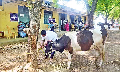 A candidate exhibits his skills during interview in Karur.