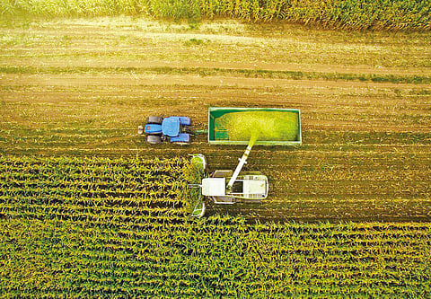 Food, fertiliser sufficiency compromised