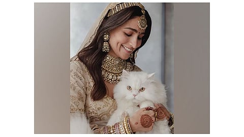 Alia Bhatt with her pet cat, Edward (Image source: Instagram)