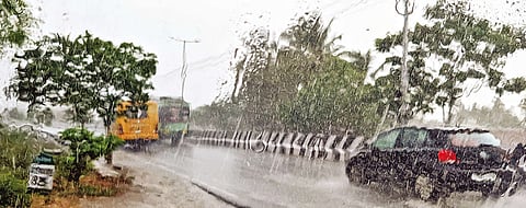 Vehicles moving through a key road during rains in Tiruchy on Friday