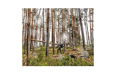 'A silent victim' Ukraine crisis: How nature becomes a casualty of war