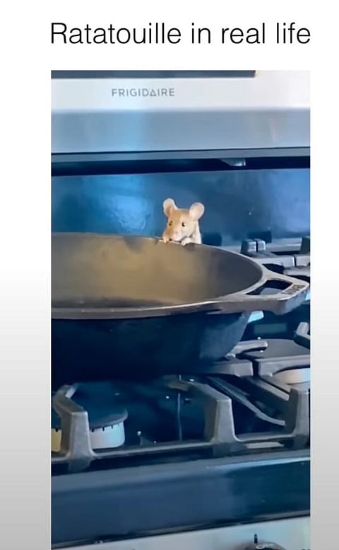 Screengrab from the video