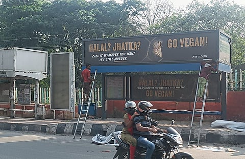 PETA India points out that vegan meals spare animals immense suffering.