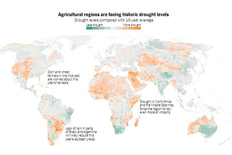 Putin’s war has led to a global food crisis