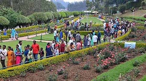 Representative Image